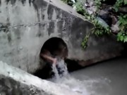 Tin tức - Cô gái nghi ngáo đá nhảy xuống mương tắm nước cống