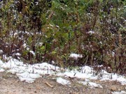 Tin tức - Trời rét sâu, Hà Giang xuất hiện băng tuyết