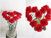 Nhà đẹp - Cách cắm hoa trái tim siêu đẹp cho chị em "không hoa tay"