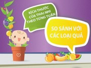 Bà bầu - Mô tả cực thú vị về kích thước thai nhi trong bụng mẹ