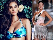 Thời trang - Tân Hoa hậu Hoàn vũ bị trượt top sắc đẹp ngay tại quê nhà