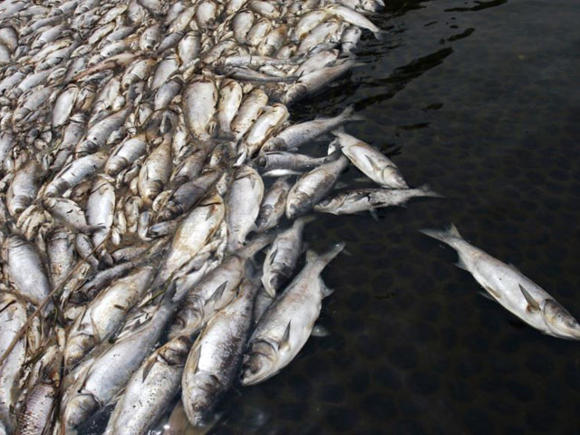 Ứng 3.000 tỉ đồng bồi thường ngư dân 4 tỉnh miền Trung