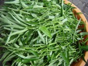 Sức khỏe - 7 người tuyệt đối không được ăn RAU MUỐNG xào hoặc luộc