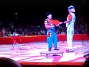 Clip Eva - Video: Khoảnh khắc cuối cùng của nghệ sỹ Việt đột tử ngay trên sân khấu