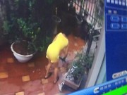 Tin tức - Xem camera, chủ nhà phát hiện người giúp việc đánh bả giết 2 chú chó tội nghiệp