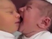 Clip Eva - Clip: "Chết cười" em bé nhầm má bạn là ti mẹ