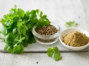 Sức khỏe - Tác dụng bất ngờ của rau mùi với sức khỏe