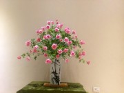 Nhà đẹp - Học cách cắm bình hồng 60 bông kiểu "lọ lồng rọ" gây sốt