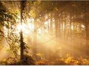 Tin tức - Ngất ngây với những hình ảnh tuyệt đẹp về mùa thu trên khắp thế giới