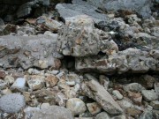 Eva tám - 90% người chơi không nhìn thấy anh lính ngụy trang trong bức ảnh này, bạn thì sao?