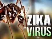 Tin tức - Phát hiện 7 trường hợp nhiễm virus Zika ở Việt Nam