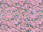 Eva tám - Đố bạn thấy cô vũ công múa ba lê lạc trong bầy hồng hạc này?