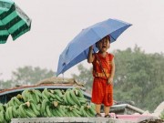 Làm mẹ - Thực hư bức ảnh bé trai Sài Gòn "khóc thương miền Trung" khiến ngàn người xúc động