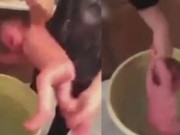 Clip Eva - Phẫn nộ với hành động tắm thô bạo với em bé 2 tháng tuổi