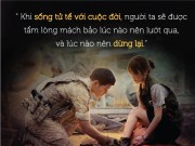 Xem & Đọc - "Thương được cứ thương đi": Sống tử tế đâu phải quá khó khăn?