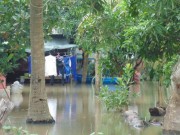 Tin tức - Cha ngủ quên, để con chưa đầy một tuổi chết đuối