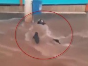Clip Eva - Brazil: Xoáy nước cuồn cuộn suýt cuốn người đi xe máy xuống hố ga mở nắp