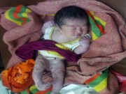 Tin tức - Bé gái sơ sinh chưa cắt rốn bị bỏ rơi trong chòi cao su