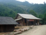 Tin tức - Mâu thuẫn với chồng, người vợ 17 tuổi ăn lá ngón tự tử