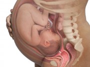 Bà bầu - 3 bệnh nguy hiểm trong thai kỳ mà các mẹ bầu thường gặp phải