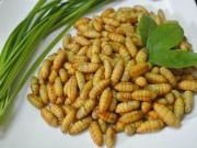 Sức khỏe - Khi ăn nhộng tằm bạn nhất định phải nhớ điều này
