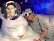 Làng sao - Ngôi sao 24/7: Dù không có Hoắc Kiến Hoa, Lâm Tâm Như vẫn khoe ảnh tươi rói