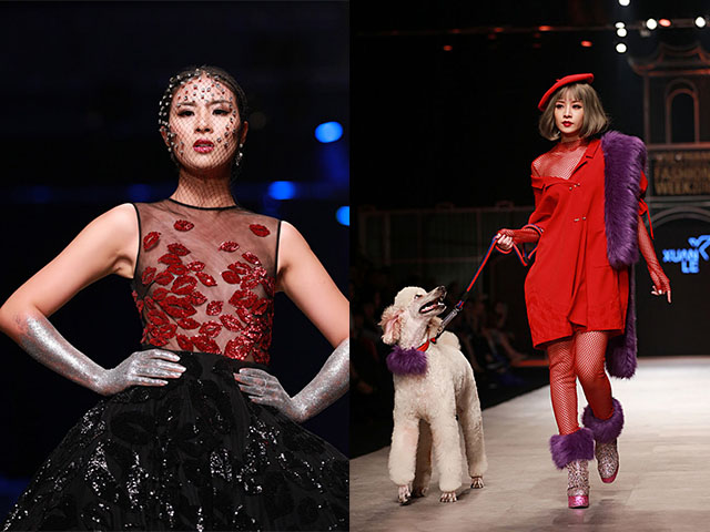 Hoa hậu Ngọc Hân táo bạo không nội y, Chi Pu dắt cún trên sàn diễn