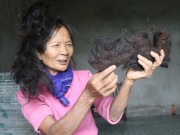 Tin tức - Lạ kỳ cụ bà có mái tóc tự kết hình đầu rồng