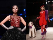 Thời trang - Hoa hậu Ngọc Hân táo bạo không nội y, Chi Pu dắt cún trên sàn diễn