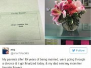 Eva tám - Đúng ngày ly hôn, chồng gửi tặng hoa vợ khiến nhiều người ‘giật mình’