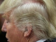 Tin tức - Sự thật về mái tóc kì lạ của Donald Trump
