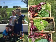 Nhà đẹp - Ngưỡng mộ khu vườn rau sạch của ái nữ Tổng thống - Ivanka Trump