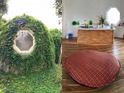 Nhà đẹp - Ngôi nhà tròn 'có một không hai' bố Hà Nội tự tay xây tặng con trai