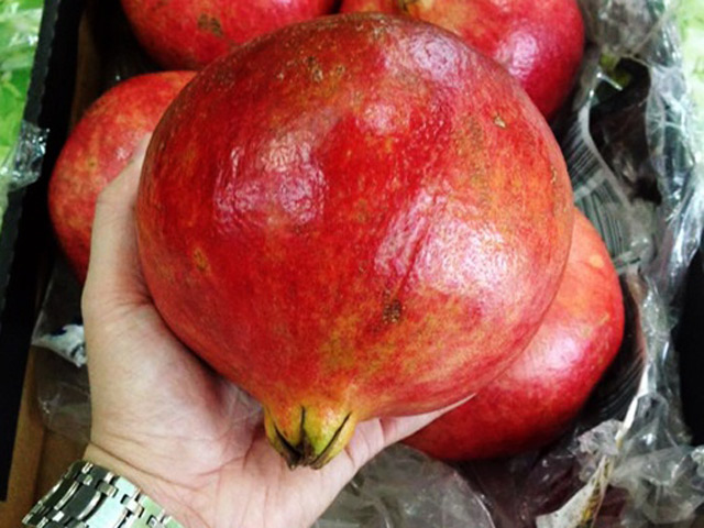 Lựu khổng lồ, giá cao ngất vẫn hút khách mua