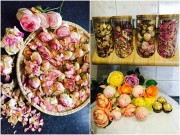 Nhà đẹp - Mẹ Việt "quý hoa hồng hơn kim cương" mách cách sấy khô cánh hoa làm trà