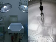 Tin tức - Cô bé qua đời vì ung thư được đóng băng cơ thể chờ ngày... hồi sinh