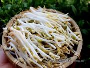 Bếp Eva - Không cần hộp giấy hay máy, làm giá đỗ bằng rổ vẫn mập mạp như thường