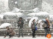 Tin tức - Lần đầu tiên trong 54 năm qua, tuyết rơi ở Tokyo vào tháng 11
