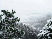 Tin tức - Miền Bắc sẽ còn đón nhiều đợt rét đậm, rét hại trong năm nay