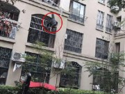 Tin tức - Sự sống sót không ai ngờ của cụ ông 90 tuổi rơi từ chung cư cao tầng