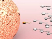 Bà bầu - Đây chính là 7 quan niệm sai lầm về thụ thai mẹ nên tránh