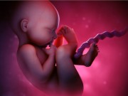 Bà bầu - Từ trong bụng, thai nhi rất sợ mẹ làm những việc này!