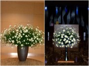 Nhà đẹp - Nếu cắm cúc họa mi mãi chẳng đẹp, bạn cần học ngay bí kíp "lọ lồng lọ"