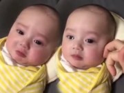 Clip Eva - Tan chảy với clip em bé khóc mếu máo vì nhớ bố