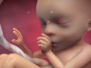 Bà bầu - 15 bức ảnh sẽ làm mẹ choáng về độ “quậy” của thai nhi trong bụng