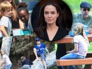 Làng sao - Angelina Jolie coi anh trai như giúp việc dù được giúp đỡ sau khi ly hôn