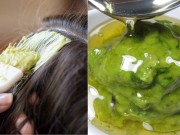 Làm đẹp - 5 loại mặt nạ rẻ bèo từ quả bơ cho tóc luôn mềm mượt mùa hanh khô