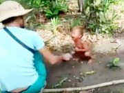 Tin tức - Nghi phạm hành hạ bé trai Campuchia từng quỳ gối xin được tha thứ