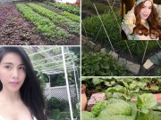 Nhà đẹp - Phát thèm với vườn rau "loại nào cũng có" của  Hồ Ngọc Hà và Thủy Tiên