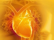 Sức khỏe - Khám phá sức mạnh bí mật trong dầu gạo